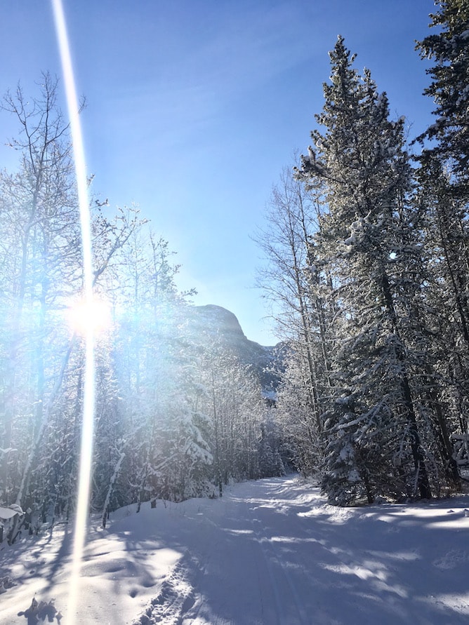 What' In Season - January Favourites | cookinginmygenes.com