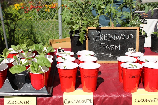 What's In Season - May Favourites from cookinginmygenes.com