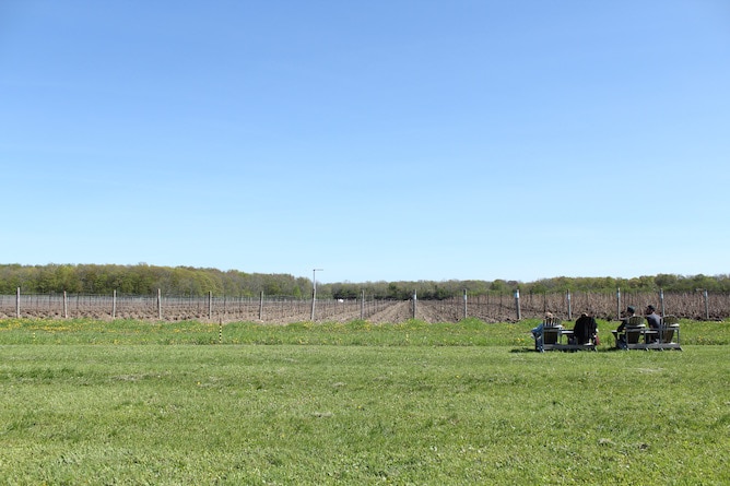 What's In Season - May Favourites from cookinginmygenes.com