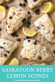 saskatoon berry scones on a baking sheet