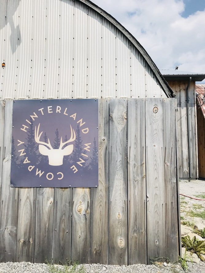 Whats In Season - Monthly Favourites + Recipes for August | cookinginmygenes.com