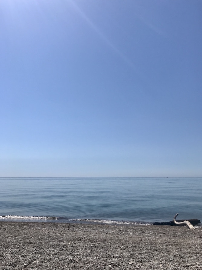 Whats In Season - Monthly Favourites + Recipes for August | cookinginmygenes.com