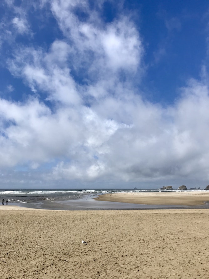 Whats In Season - What to Cook in October from cookinginmygenes.com