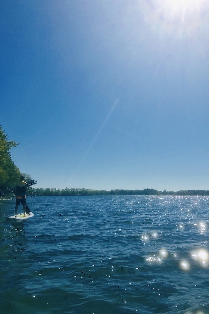 What's In Season - What to Cook in July from cookinginmygenes.com