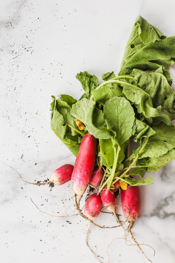 What's In Season - Recipes to Make in September | cookinginmygenes.com