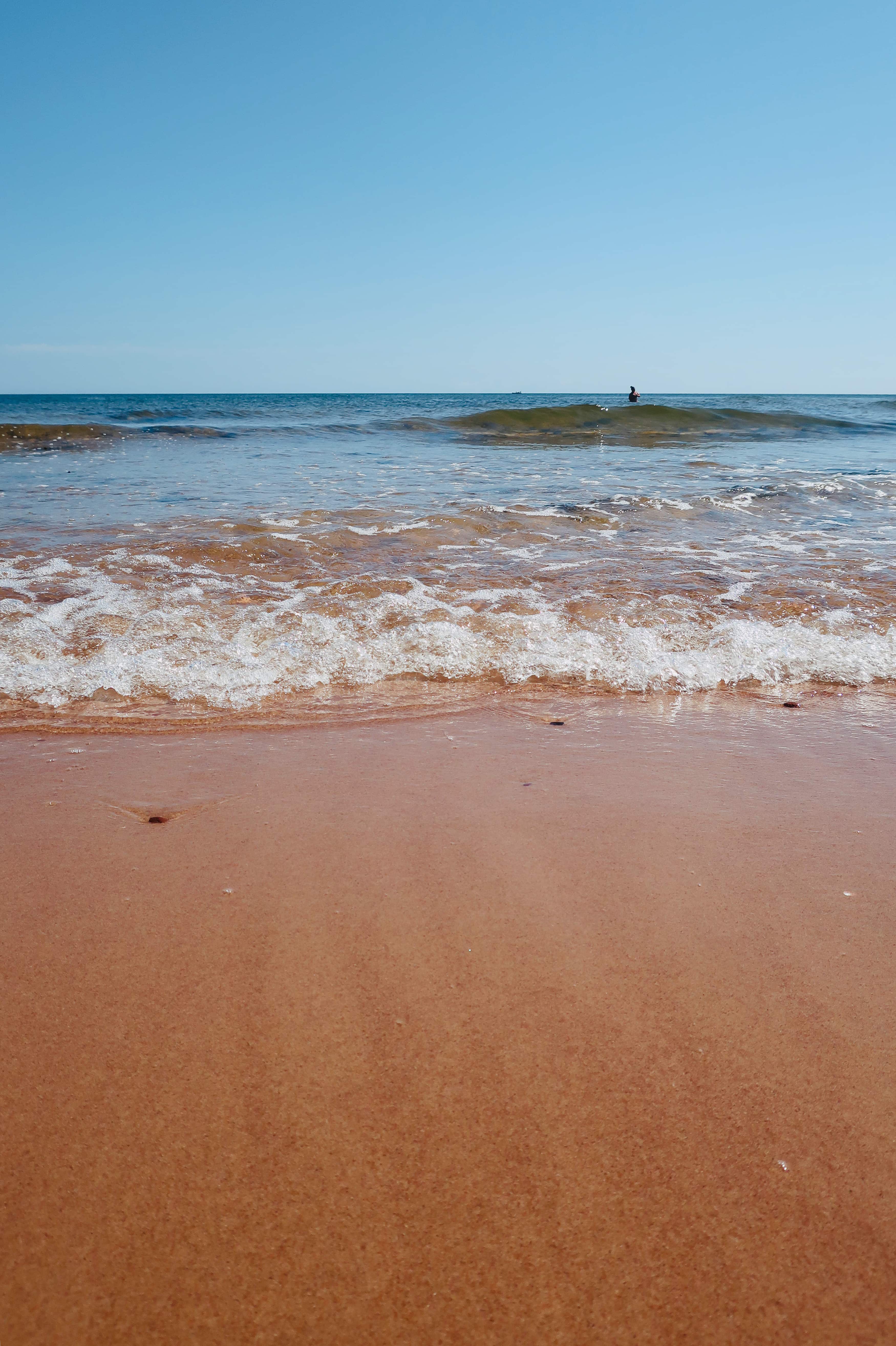 What's In Season - Recipes to Make in September | cookinginmygenes.com