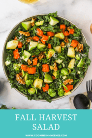 Fall Harvest Salad: Fall Dinner Ideas