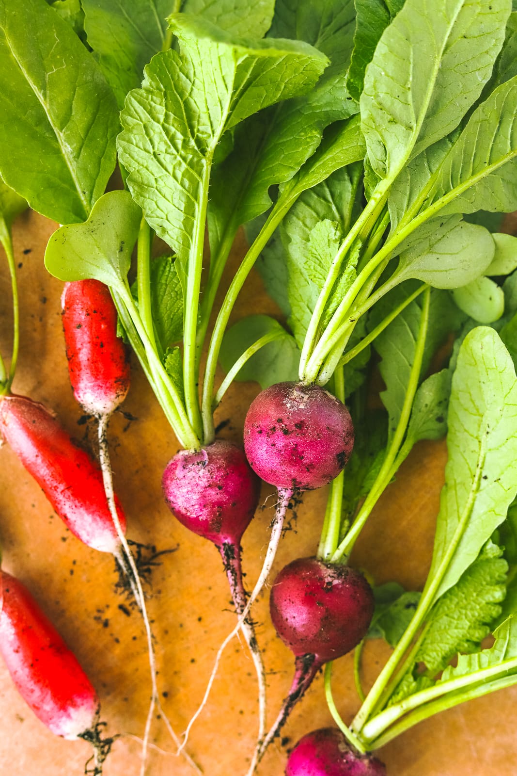 July recipe inspiration