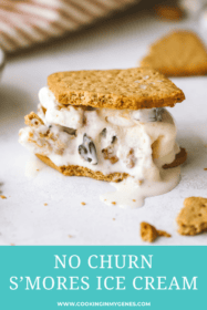 s'mores ice cream sandwich