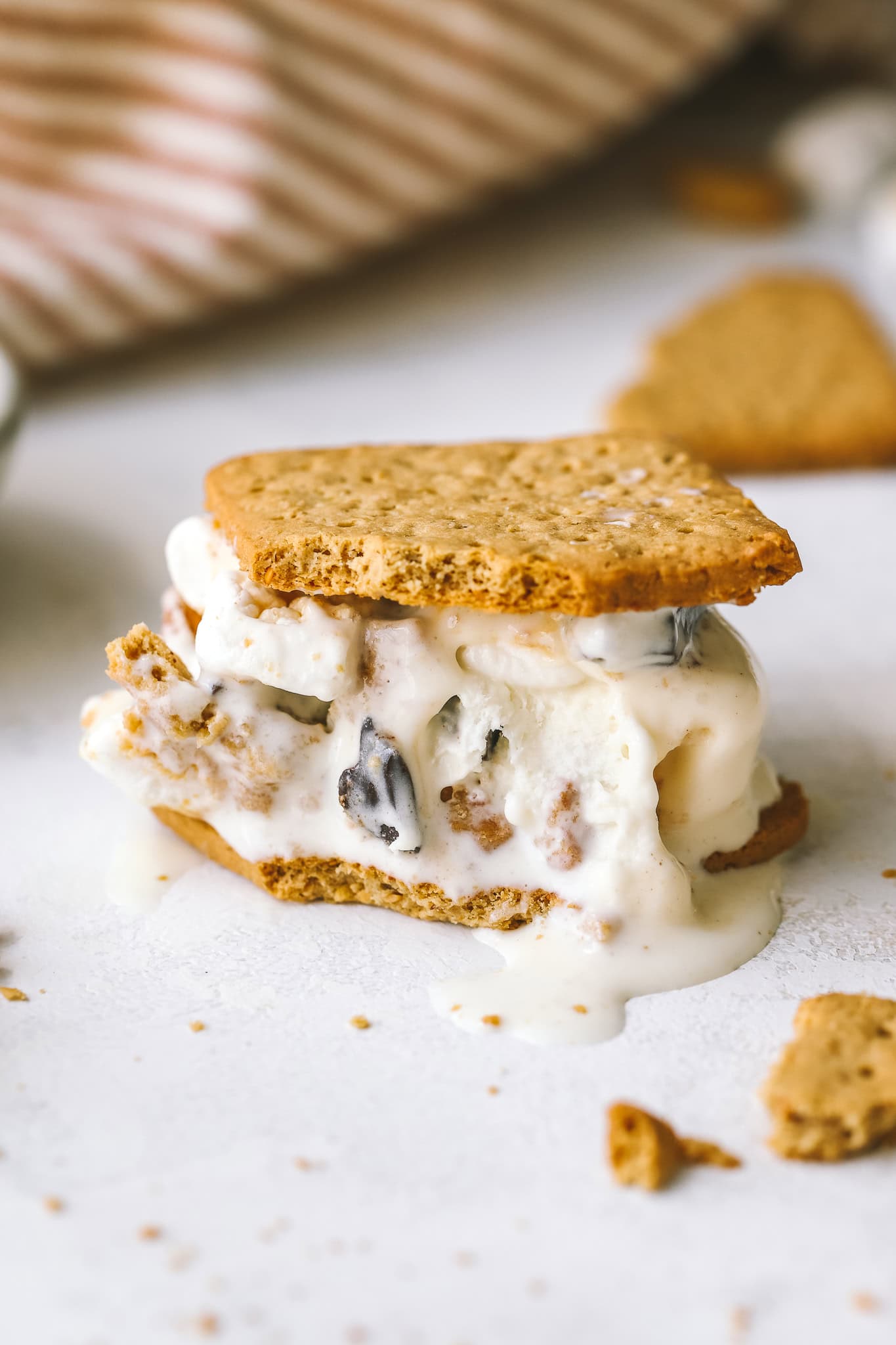 s'mores ice cream sandwich