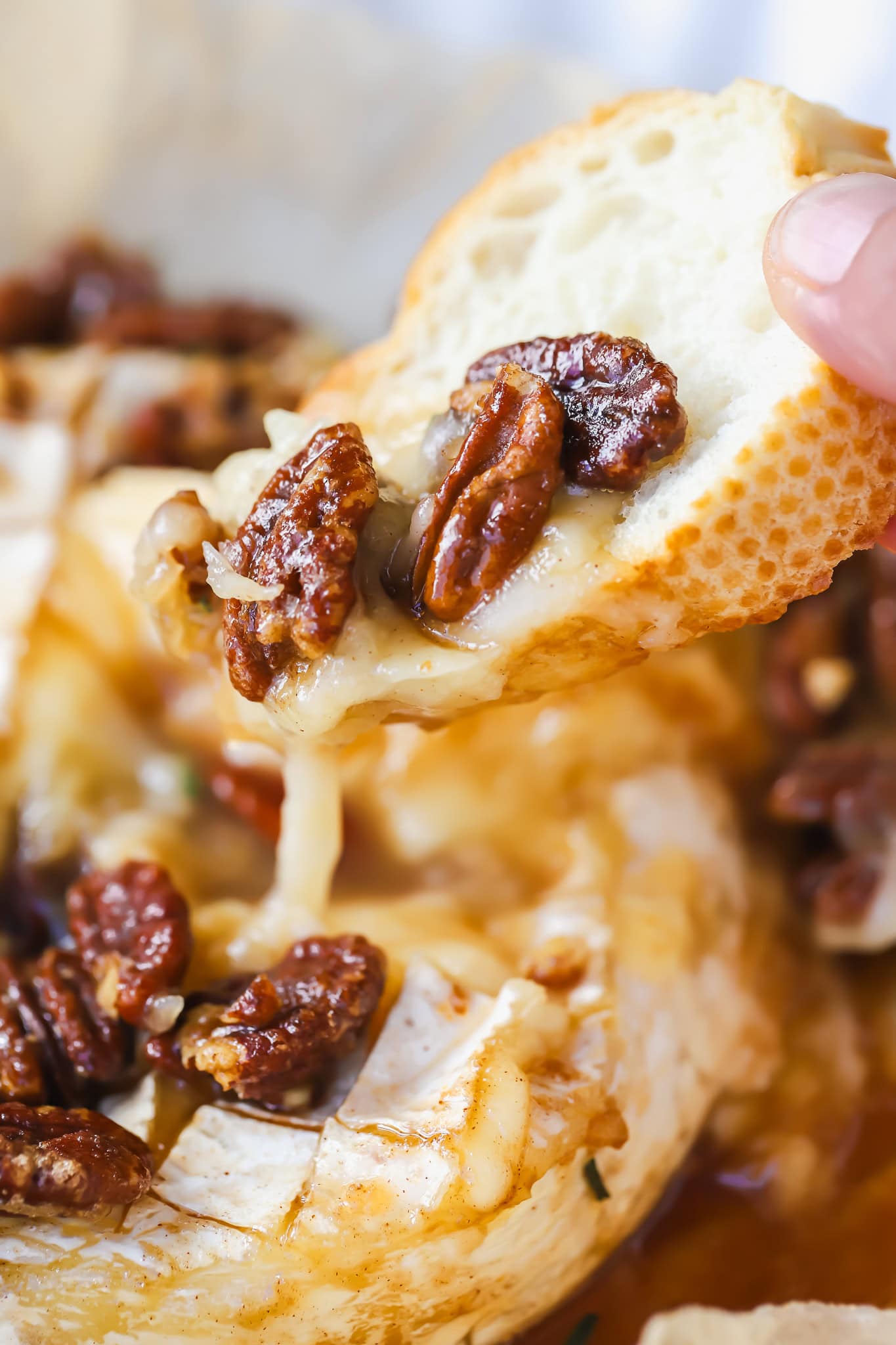 crostini dipping into maple pecan baked brie