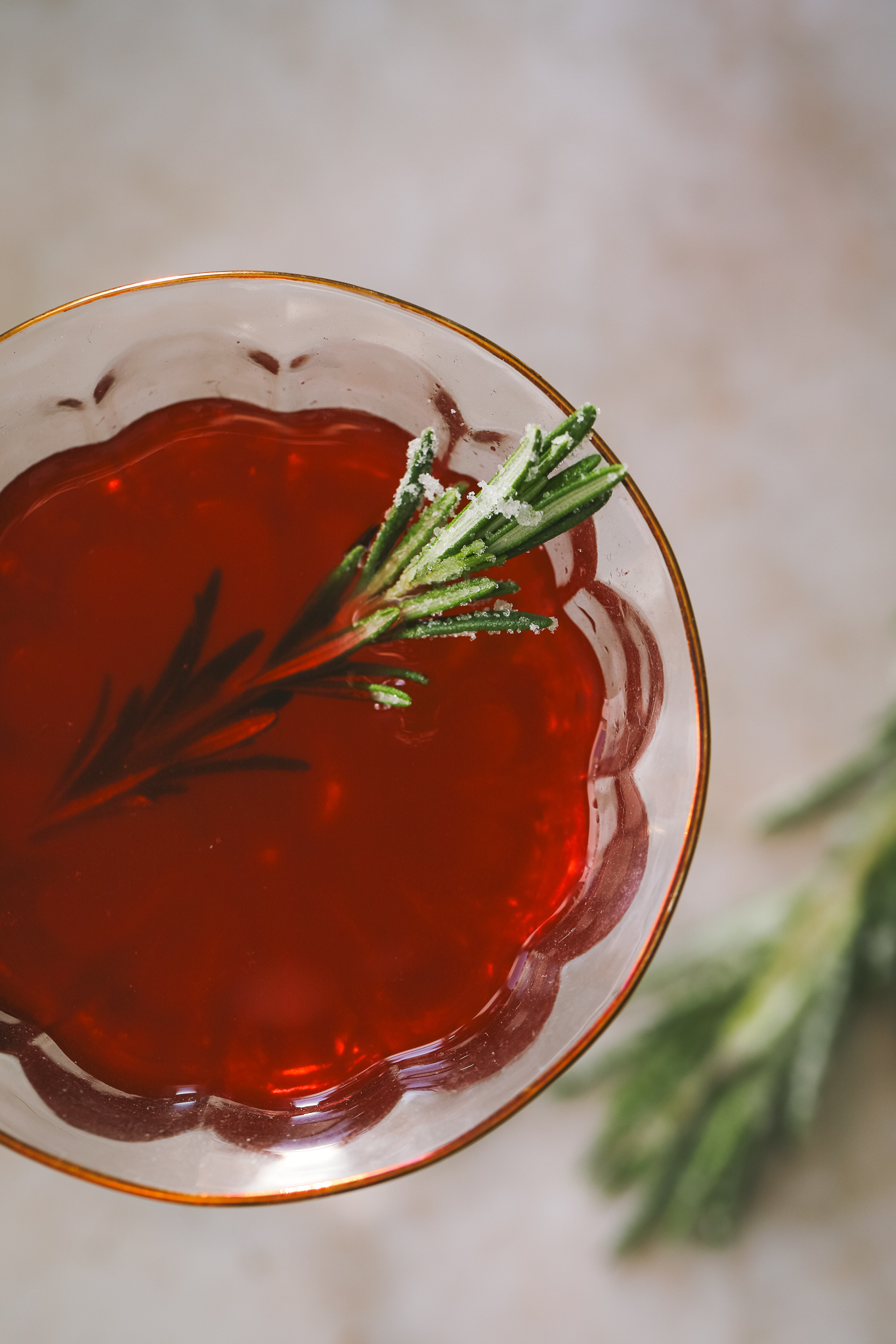 close up of rosemary garnish in a cosmopolitan cocktail