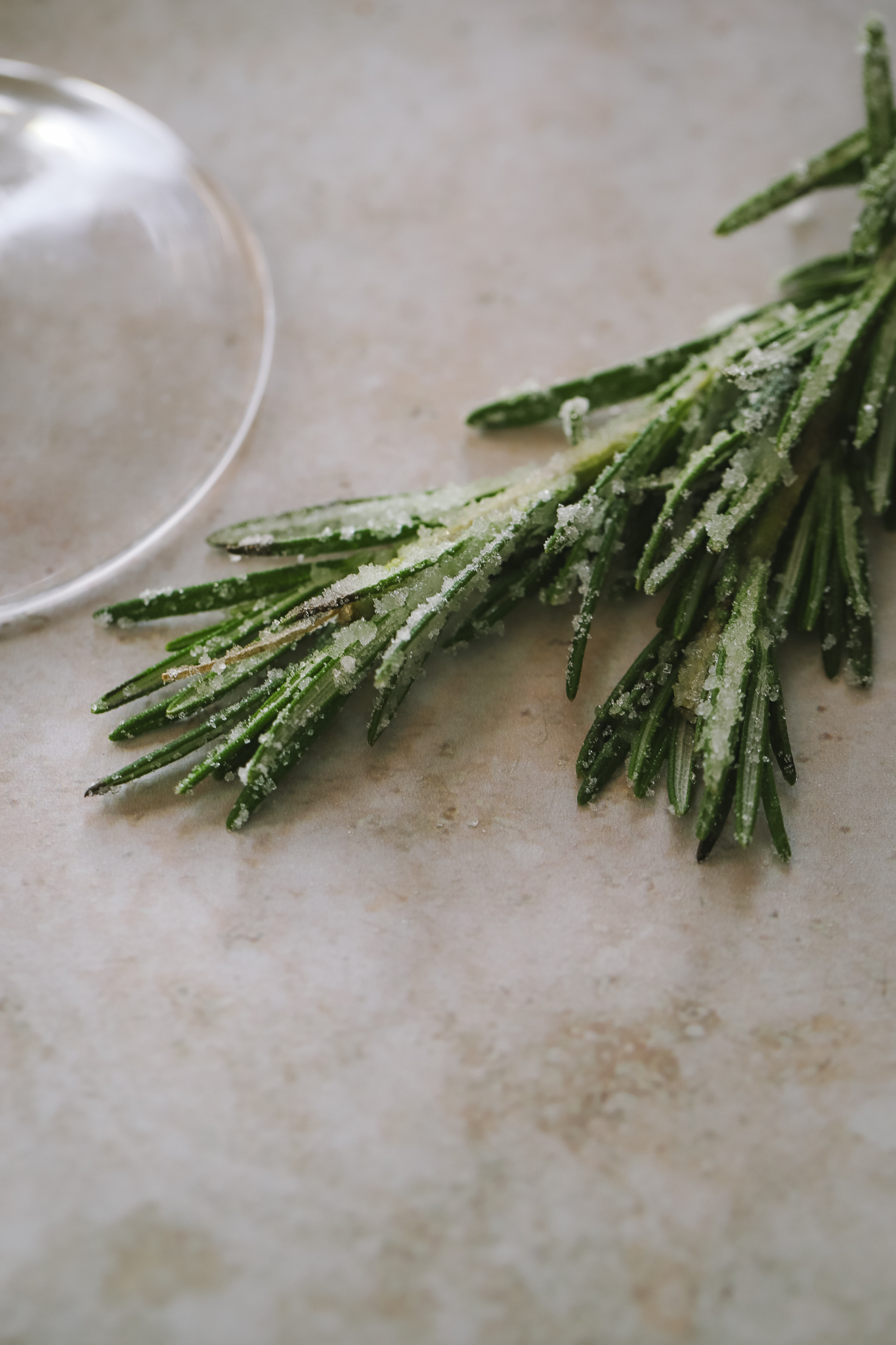 sugared sprigs of rosemary