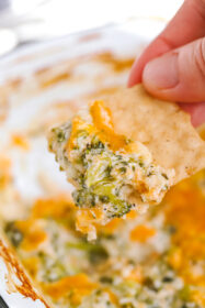 cracker dipped into broccoli cheese dip