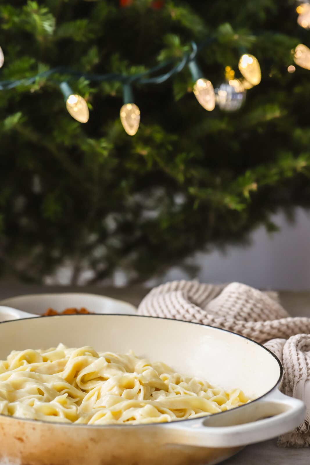 ettuccine in front of a Christmas tree