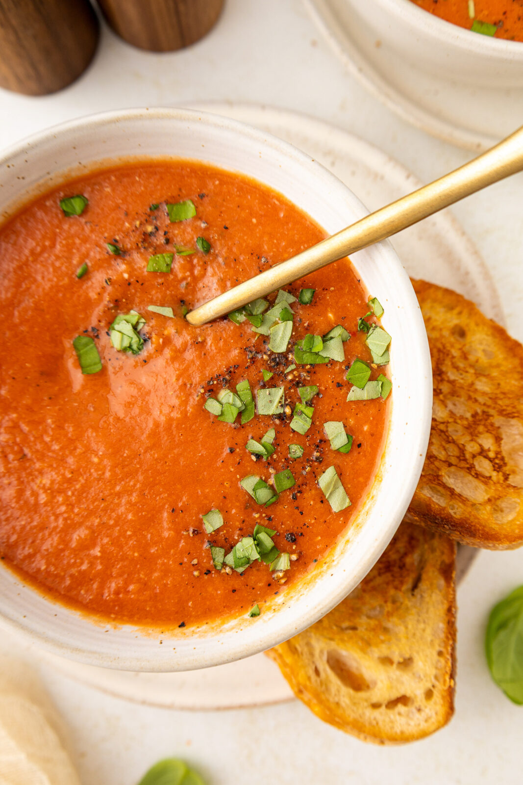 spoon in a bowl of tomato soup